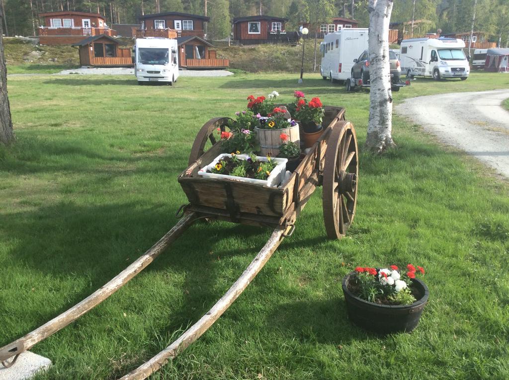 Furuly Camping Nordberg Exteriér fotografie